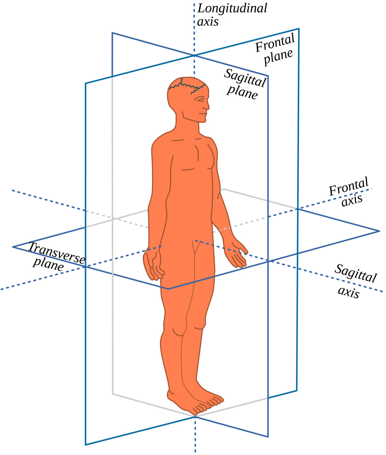 IT Band Pain And Exercises To Help Core Exercise Solutions