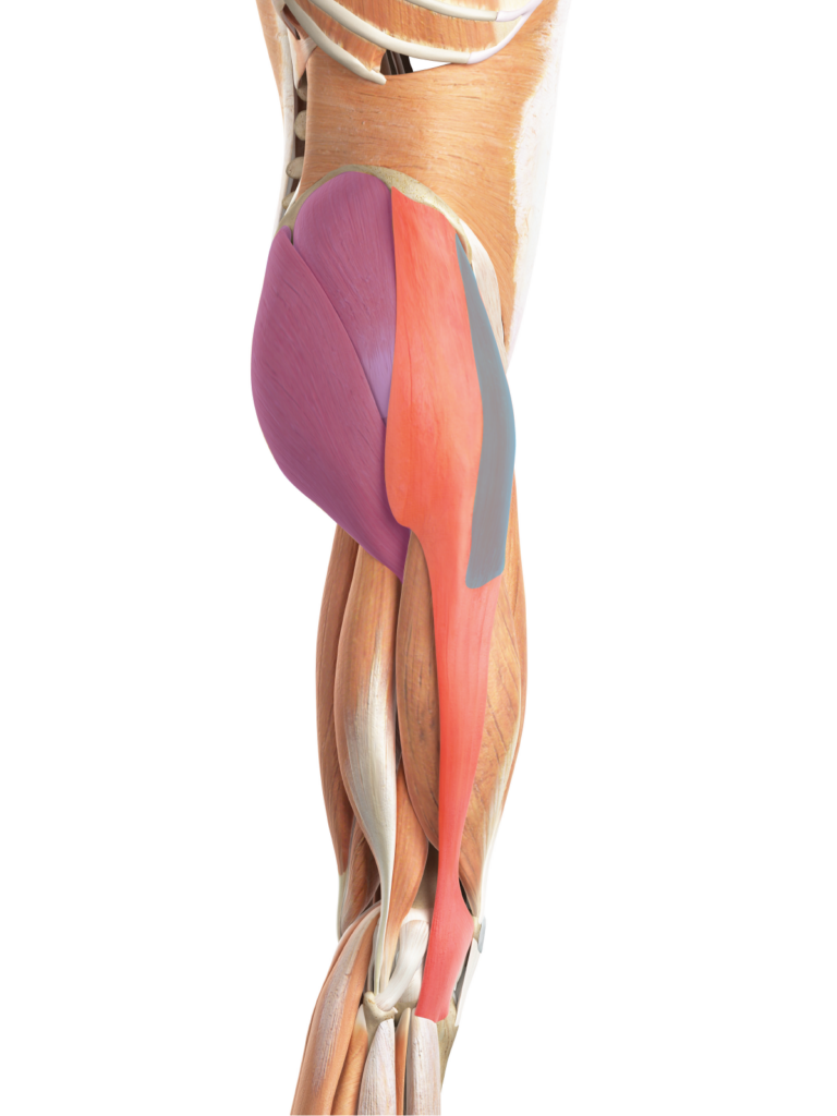 IT Band Pain And Exercises To Help Core Exercise Solutions