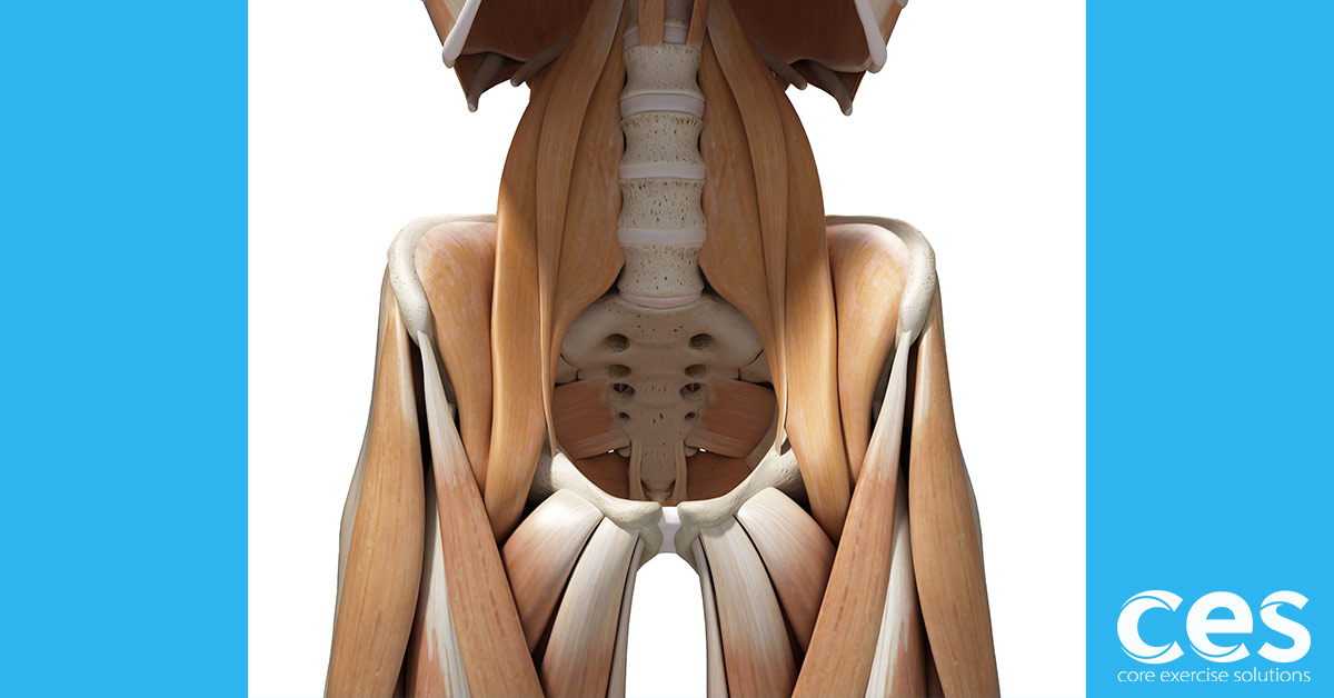 How do you know if your hip flexors are tight? - Core Exercise Solutions