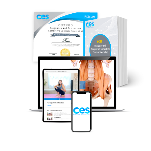 CSEP Pre & Postnatal Exercise Specialization™: Application Fees – CSEP Store