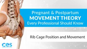 Pregnant and Postpartum Movement Theory Every Professional Should Know - Video 1
