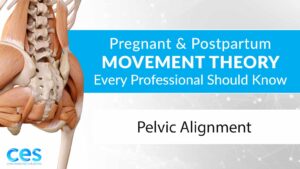 Pelvic Alignment